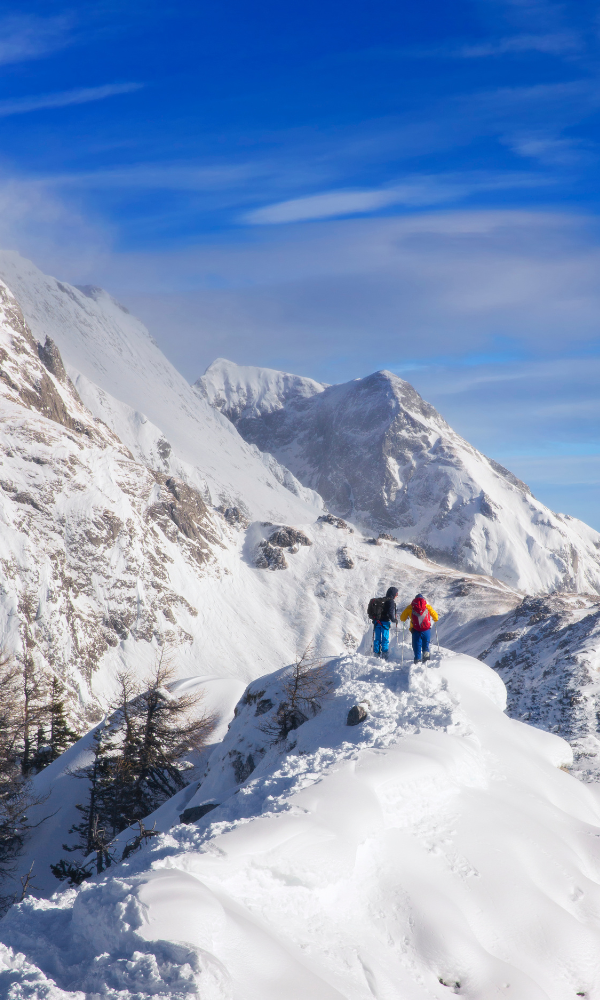 roberts_odziez_puchowa